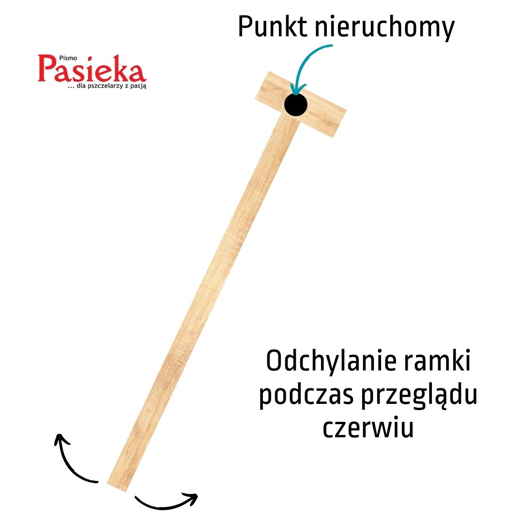 Odchylanie ramki podczas przeglądu czerwiu 1