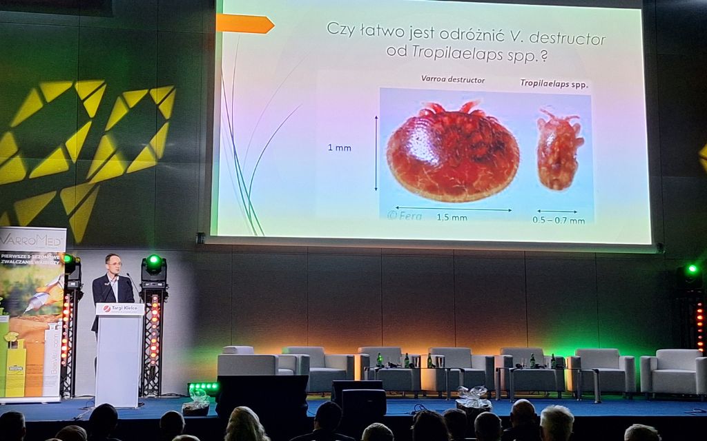 Paweł Migdał weterynaria dla pszczelarstwa