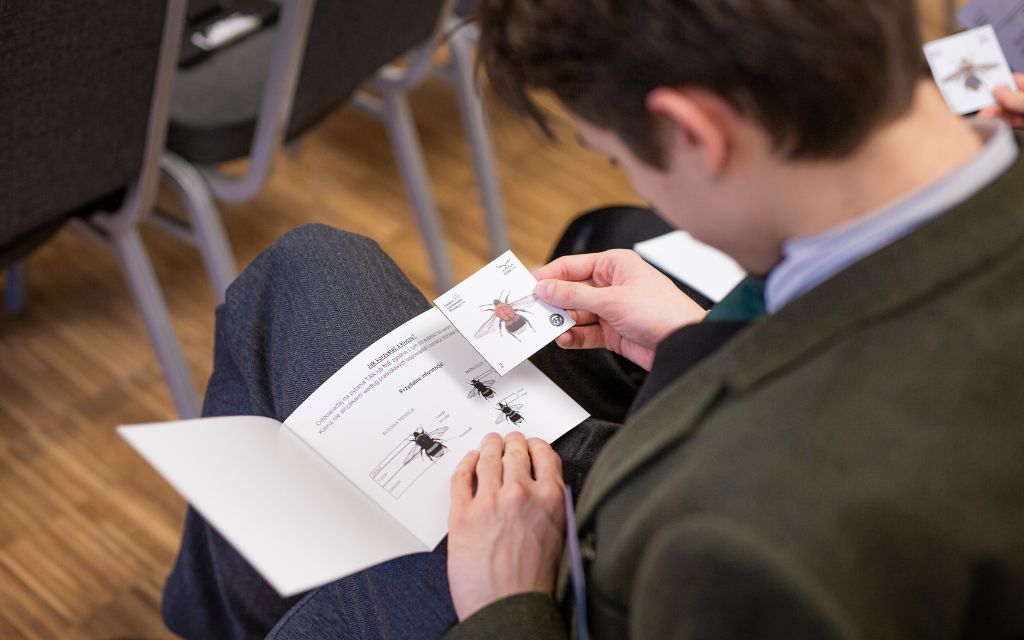 Rozpoznawanie trzmieli