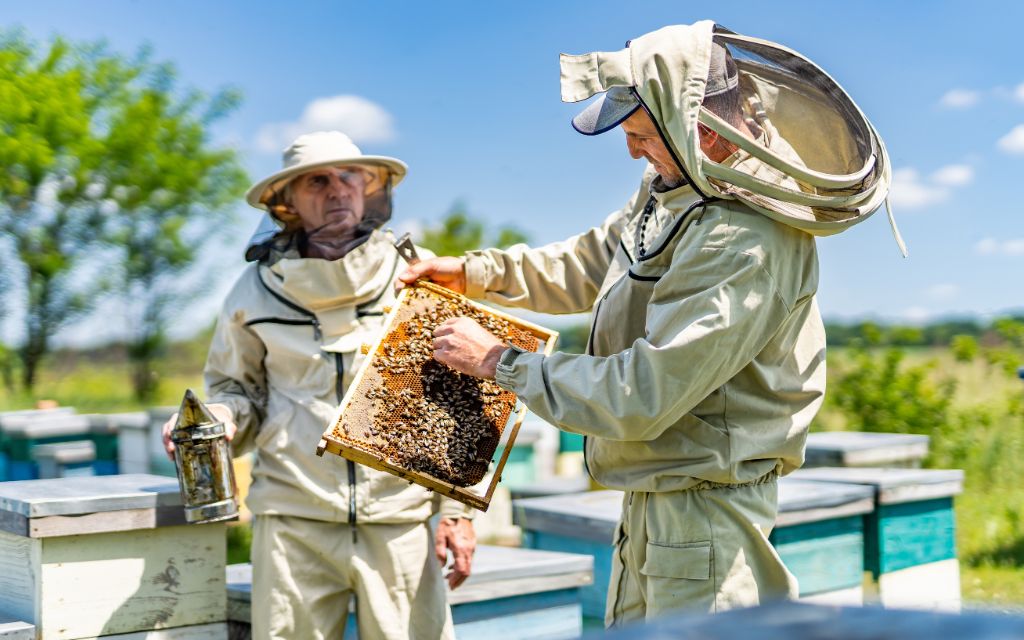 dwaj pszczelarze