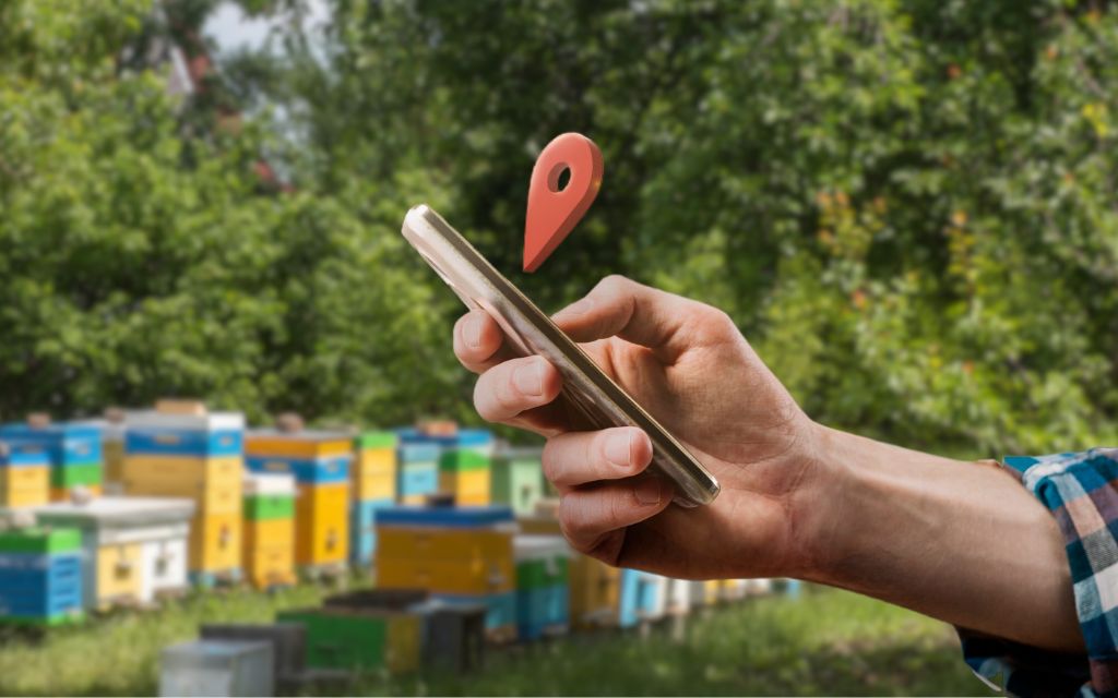 Złodziej złapany dzięki nadajnikowi w ulu