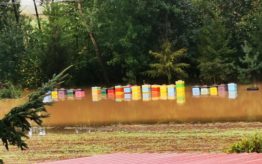 Powódź 2024 – pszczelarska kronika tragedii 