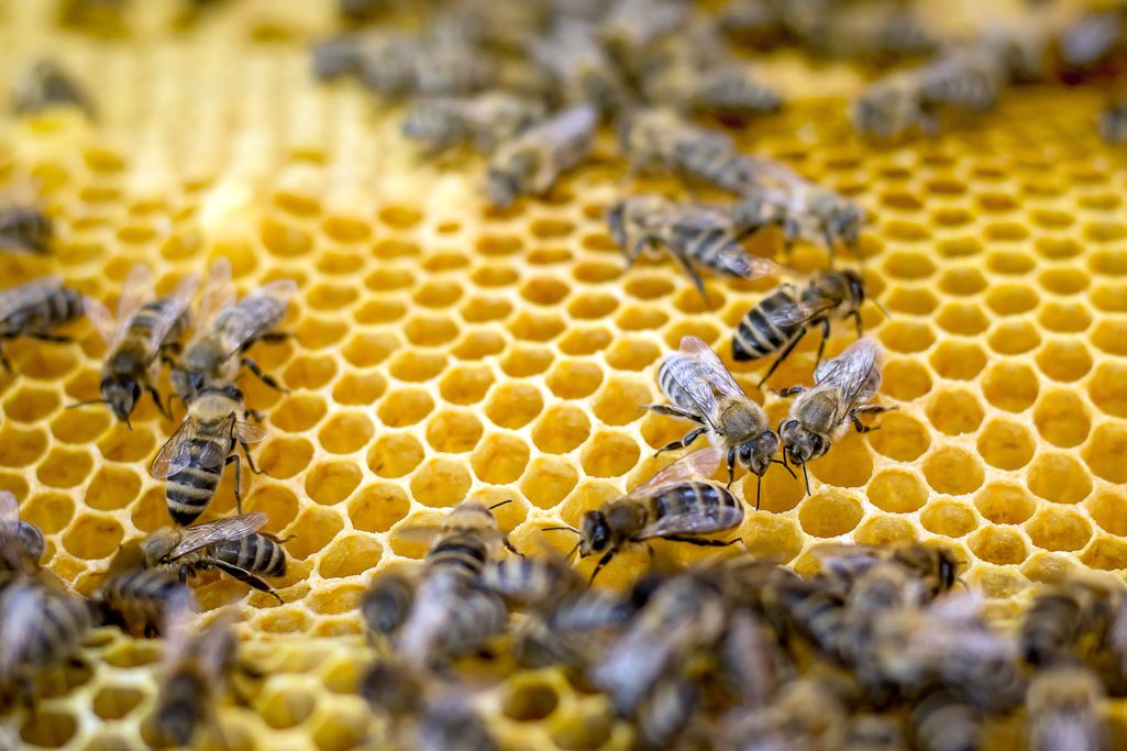 8 sygnałów komunikacji