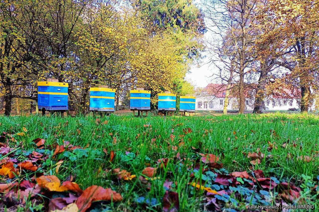 Pasieka IMMUNO