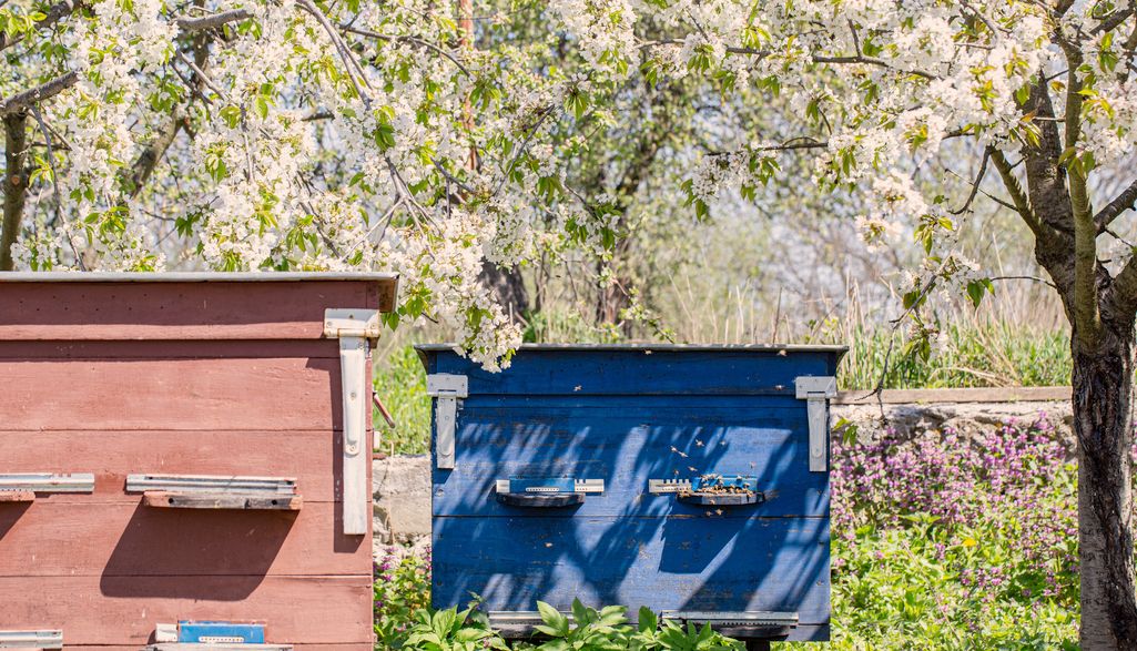 dopłaty do przezimowanych rodzin