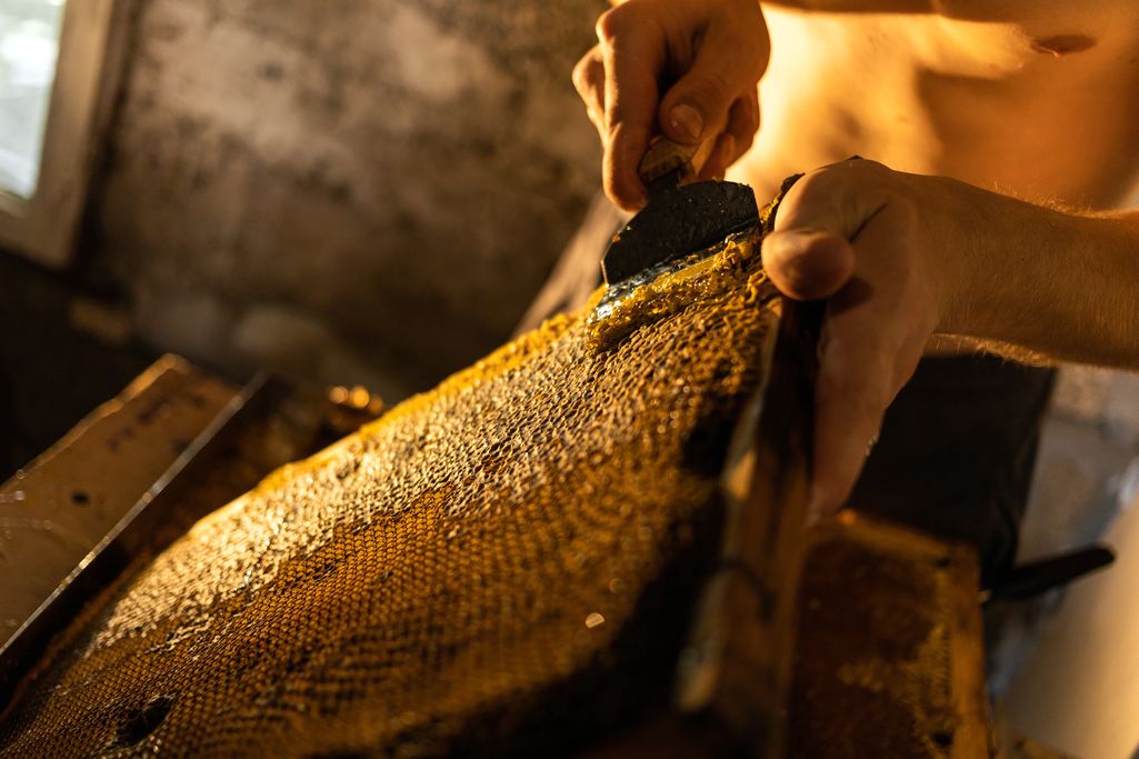 Zapraszamy na 32. Krakowskie Miodobranie 6 i 7 września 2025