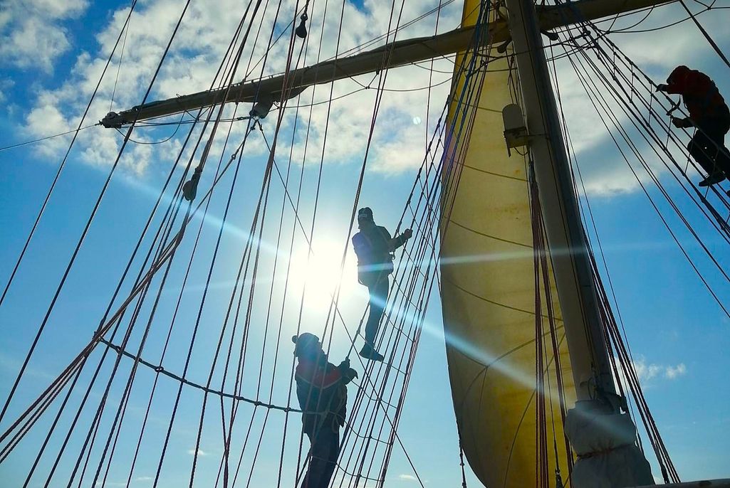 Pszczelarze na fali: Wyruszają w rejs po jedność branży!