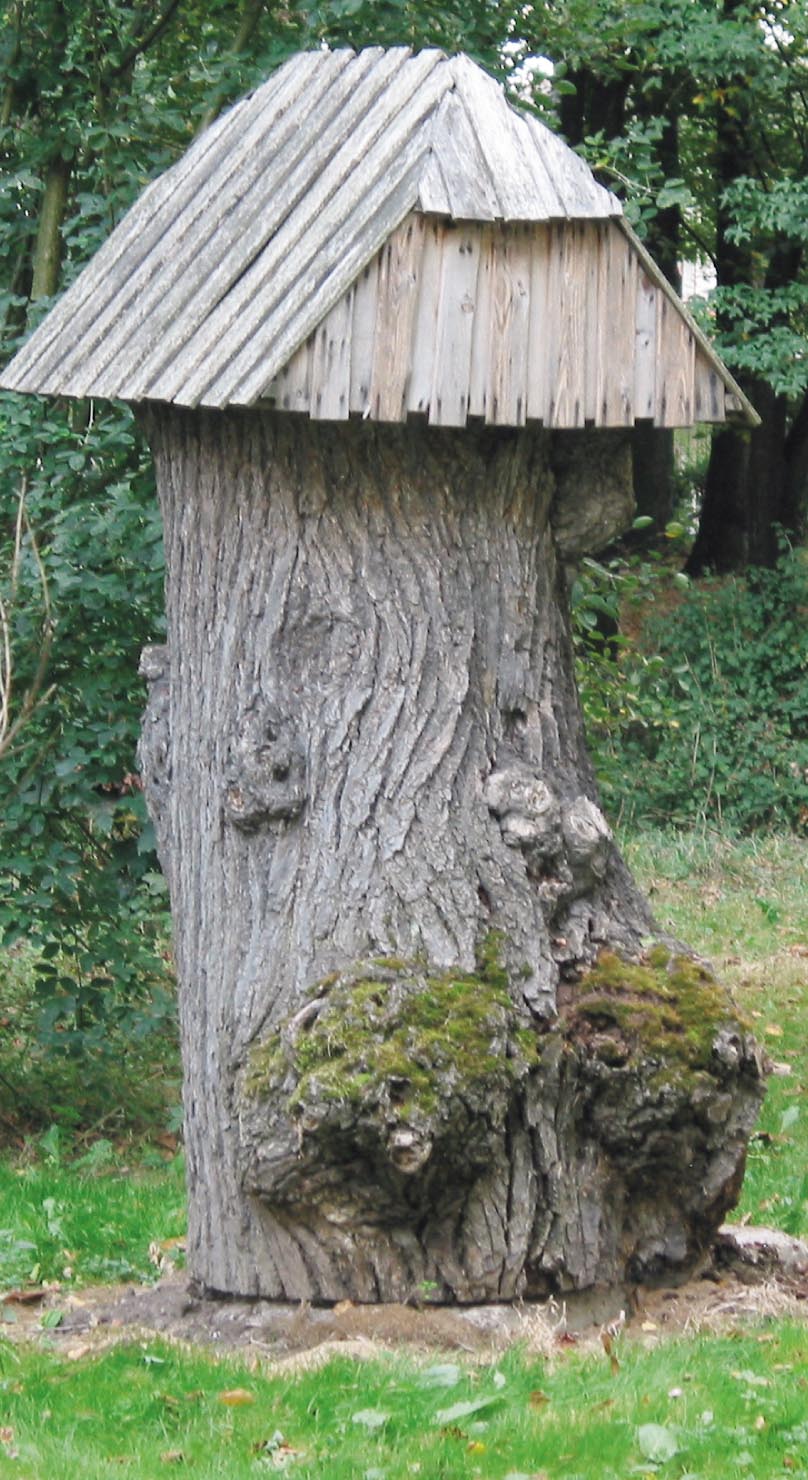 Pszczelarski Klub Kolekcjonerów 