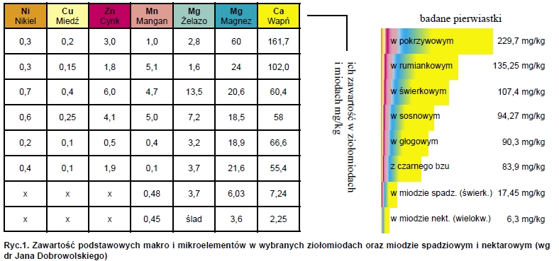 Garść informacji o ziołomiodach