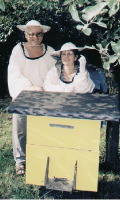 Prawo maximum w rodzinie pszczelej