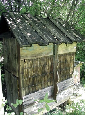 Jaki typ ula wybrać dla naszej pasieki? Cz. I