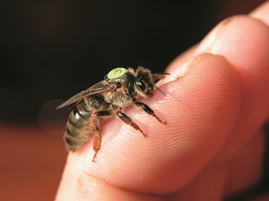 Najważniejsza jest Matka