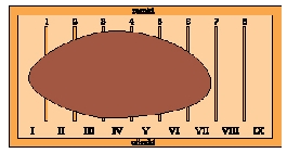 Gospodarka w ulu styropianowym cz.ΙΙ