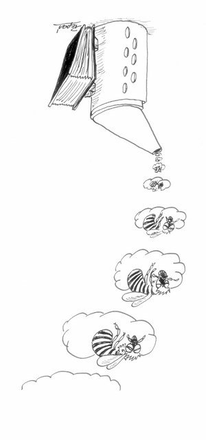 Rozważanie po sezonie