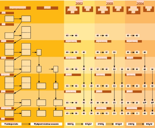 Gospodarka Wędrowna w Ulach styropianowych Podsumowanie
