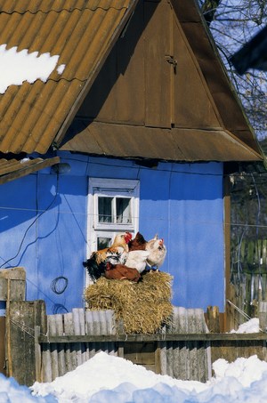 Pieniądze z unii na podjęcie lub rozwój dodatkowej działalności