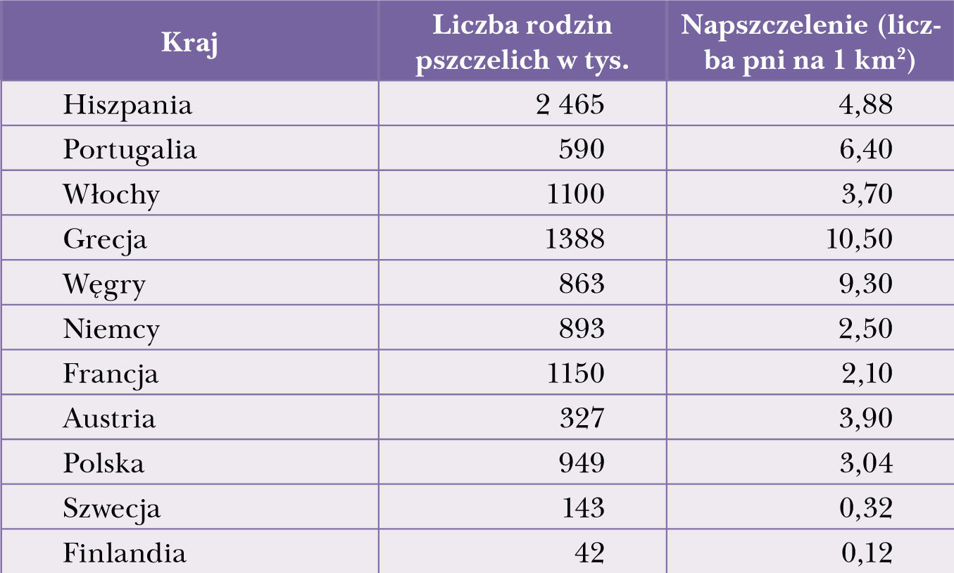 Pszczół nigdy za wiele