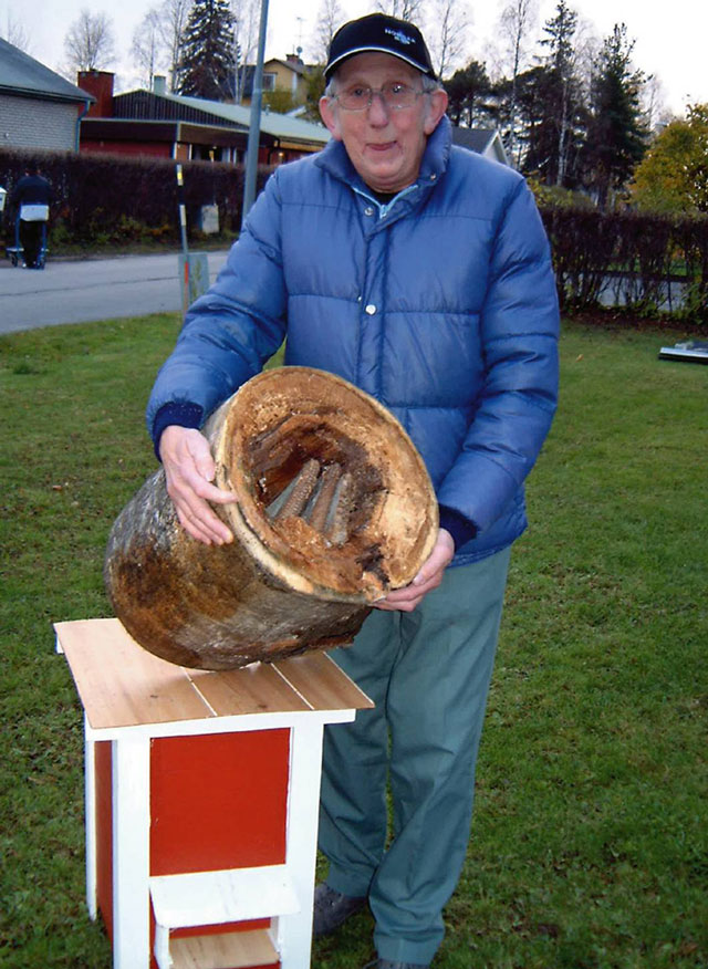 Gniazdo dzikich pszczół