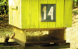 Uproszczona dennica wielofunkcyjna