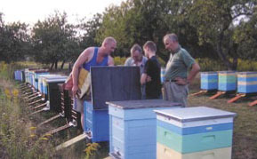 24–25 września, Przemków VI Dolnośląskie Święto Miodu i Wina