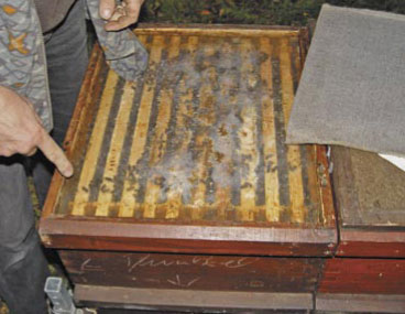 Straty zimowe nie muszą być regułą