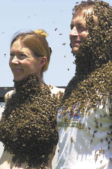 Pszczele brody i bikini