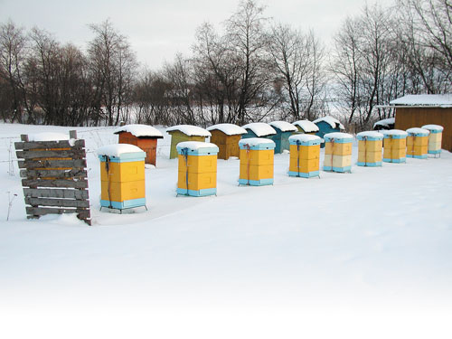 Przeciąg w ulu podczas zimowli?