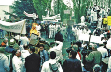 Gaucho i regent kontra pszczelarze