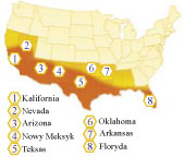 One tutaj przyszły. Zafrykanizowane pszczoły miodne w USA