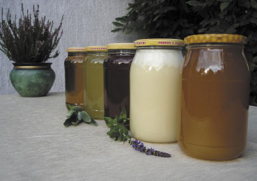 Polskie płynne złoto. Miody odmianowe