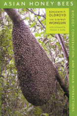 Azja rodzimą krainą wielu gatunków pszczół