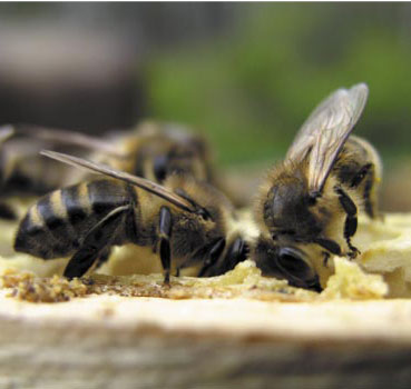 O potrzebie tworzenia odkładów