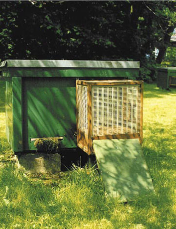 Sztuczne unasiennianie matek pszczelich