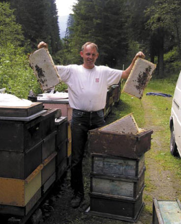 Podróż po złote runo