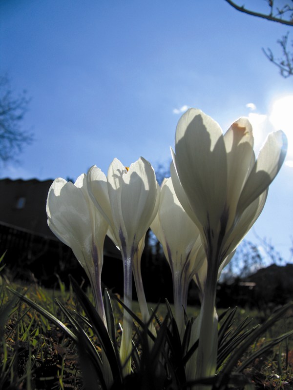Jaki sierpień, takie przedwiośnie