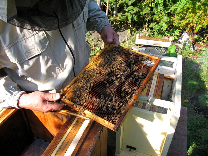 Czy tworzenie odkładów to dobra inwestycja? 