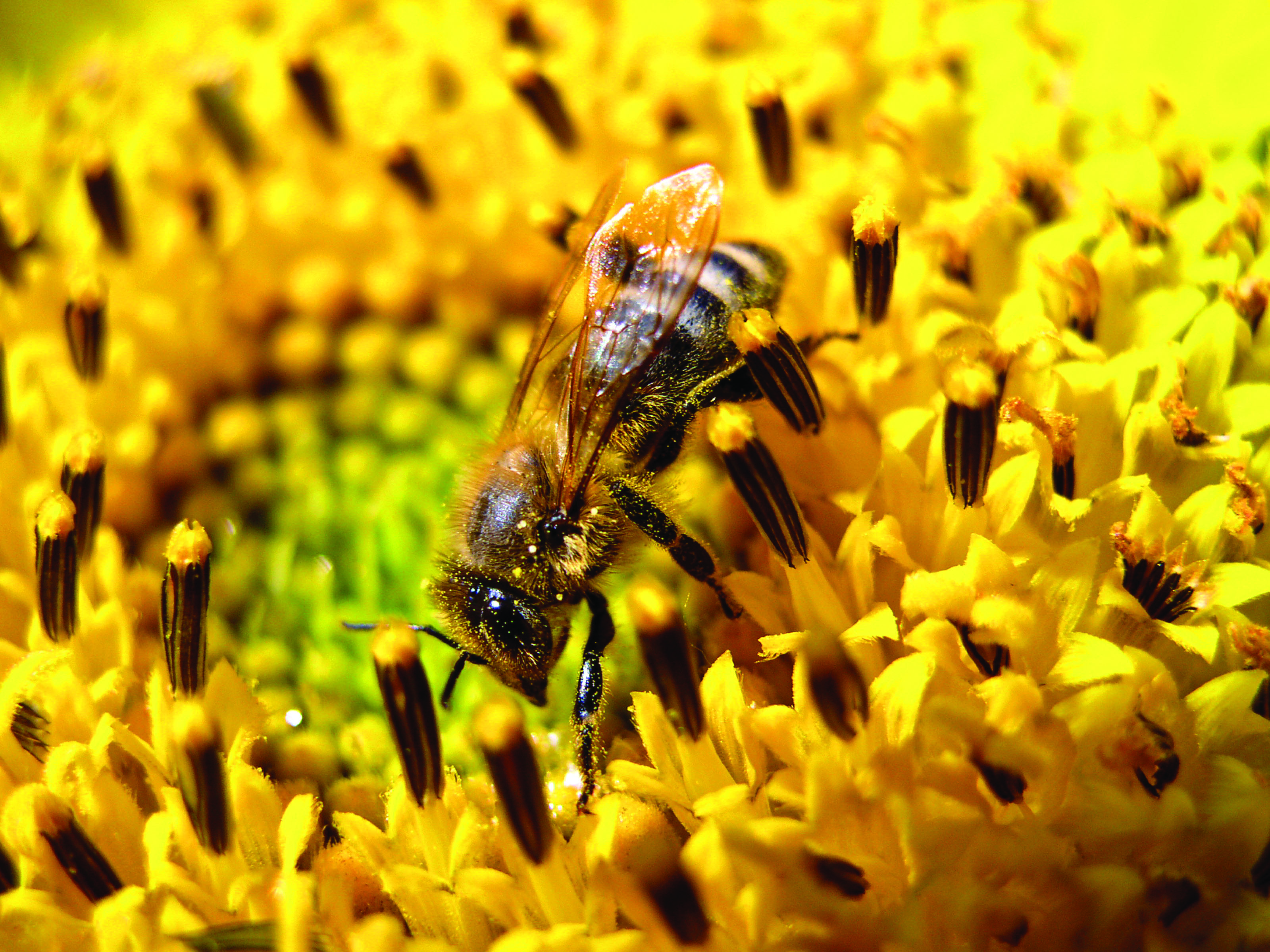 Koniec maja to już lato