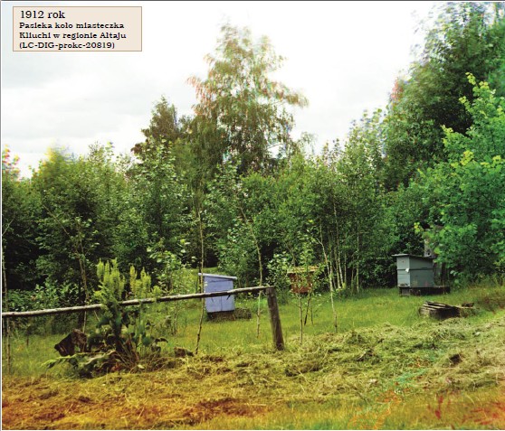 Pierwsze na świecie kolorowe fotografie pasiek