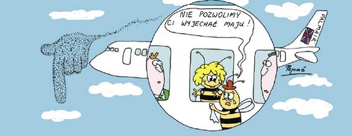Pszczoły kontra samolot