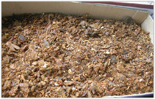 Propolis pozyskany ze skrobania wymaga oczyszczenia z zanieczyszczeń Propolis pozyskany ze skrobania wymaga oczyszczenia z zanieczyszczeń