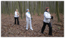 Wpływ systematycznej aktywności ruchowej na zdrowie pszczelarza