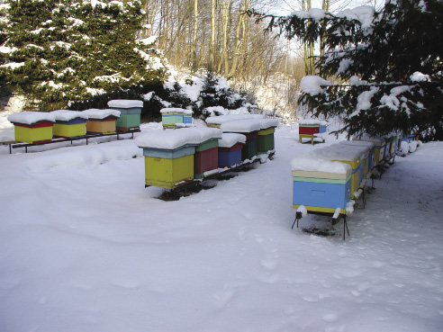 Zimowa pasieka, cz. 2.