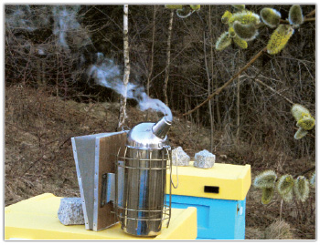 Felieton - Nasze pasieki oczami tradycyjnego praktyka