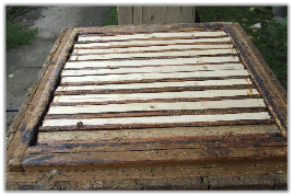 Dzierżonowska snoza w gospodarce pasiecznej XXI w.