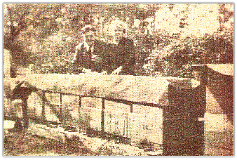 Wiktor Widera i jego ul