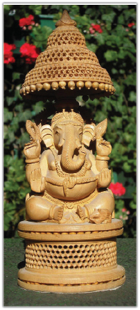 "Muzeum" Profesora Woyke: trofea, pamiątki, prezenty