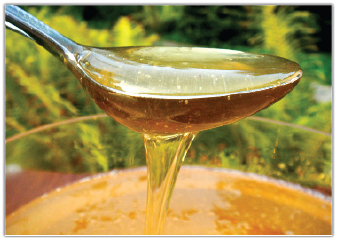 Recepty i leki z pasieki