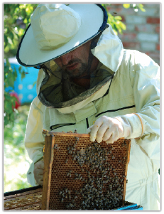 Odkażanie w pasiece