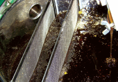 Porady pasieczne na maj i czerwiec