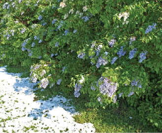 Podsumowanie sezonu pszczelarskiego Anno Domini 2011